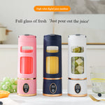 Portable Electric Juice Cup HP-880 Blender 450ml